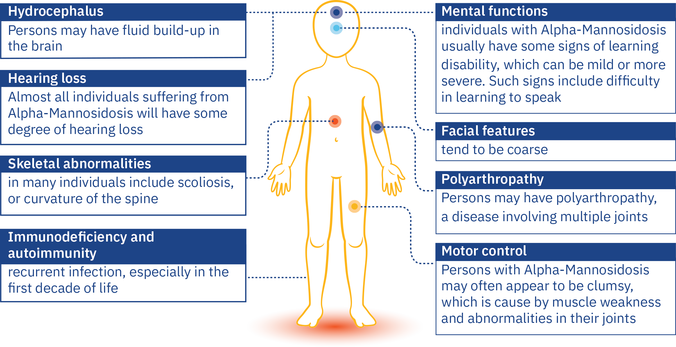 signs of alphamannosidosis