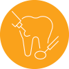 dentist dentist