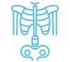 skeletal changes