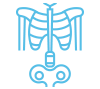 skeletal changes skeletal changes