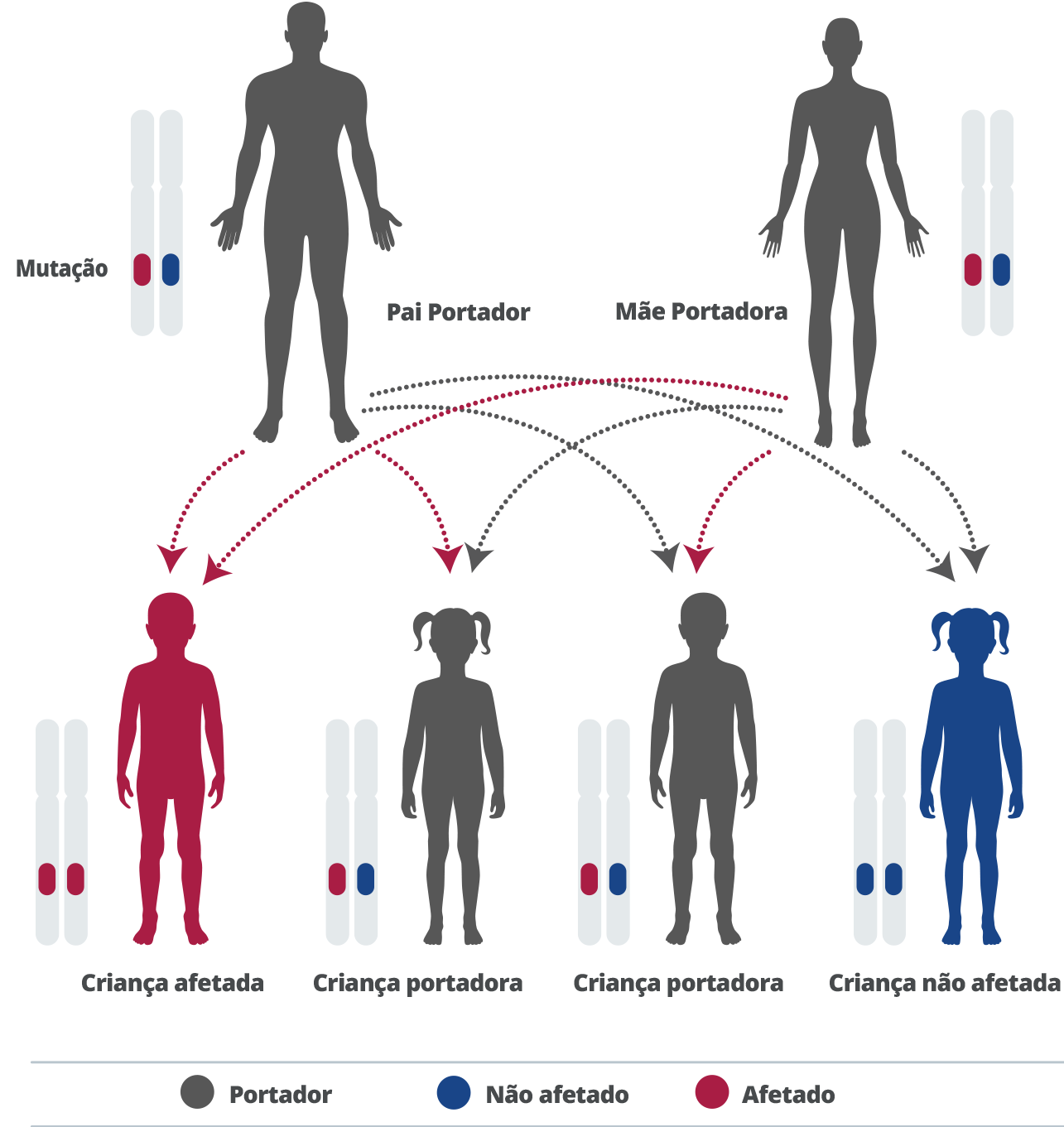 pt-diagnostic-test
